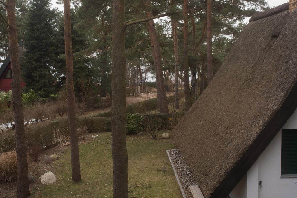 Reetdach-Ferienhaus In Quilitz Rankwitz Eksteriør billede